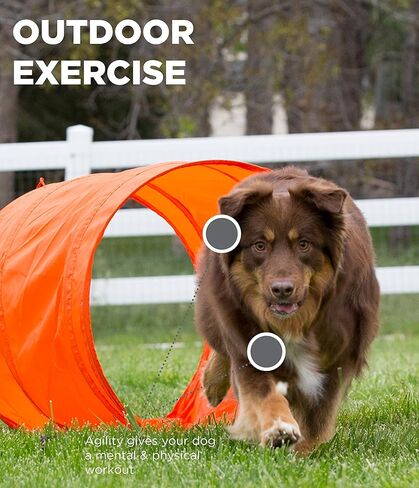 خارج Hound Zip & Zoom Dog Atermility Kit Kit Absing Tunnel Chute Tankment مع حصص معدنية in Kuwait