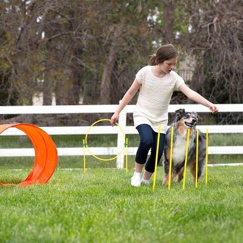 خارج Hound Zip & Zoom Dog Atermility Kit Kit Absing Tunnel Chute Tankment مع حصص معدنية in Kuwait