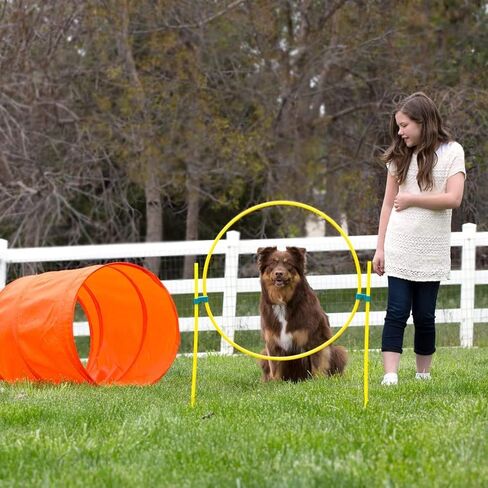 خارج Hound Zip & Zoom Dog Atermility Kit Kit Absing Tunnel Chute Tankment مع حصص معدنية in Kuwait