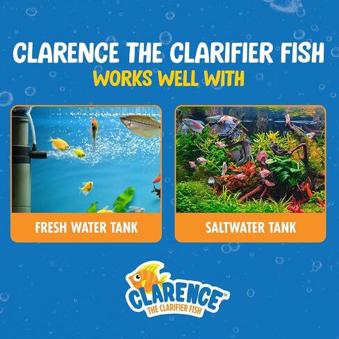 Aquarium Water Clarifier | Clear Cloudy Fish Tank Water Treatment, Safe for Freshwater & Saltwater Fish and Plants - Purple, 1 Pack in Saudi Arabia
