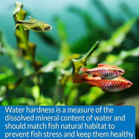 API GH & KH TEST KIT Freshwater Aquarium Water Test Kit, 2.5 oz. in Saudi Arabia
