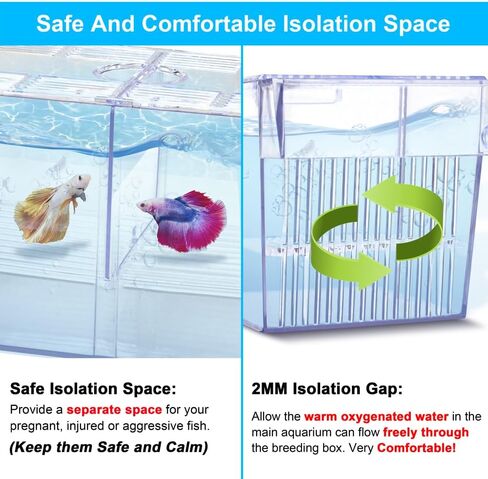 Fish Breeding Box Aquarium Holding Tank Transparent Fish Isolation Box Acclimation Hatchery Incubator Breeder Box for Baby Fish Betta Shrimp Clownfish Guppy in Saudi Arabia