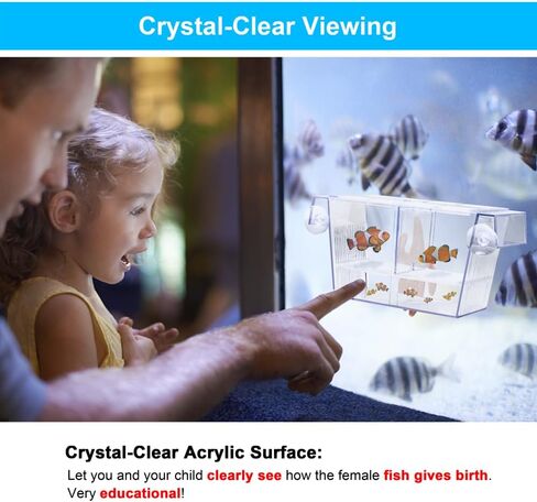 Fish Breeding Box Aquarium Holding Tank Transparent Fish Isolation Box Acclimation Hatchery Incubator Breeder Box for Baby Fish Betta Shrimp Clownfish Guppy in Saudi Arabia