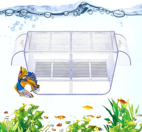 Fish Breeding Box Aquarium Holding Tank Transparent Fish Isolation Box Acclimation Hatchery Incubator Breeder Box for Baby Fish Betta Shrimp Clownfish Guppy in Saudi Arabia