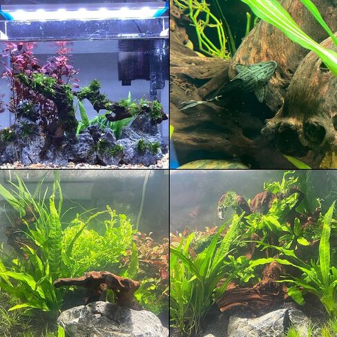 kathson Natural Aquarium Driftwood Decoration Branches Reptiles Terrarium Ornament Wood Fish Tank Habitat Decor Assorted Sizes Wood 2 PCS in Saudi Arabia