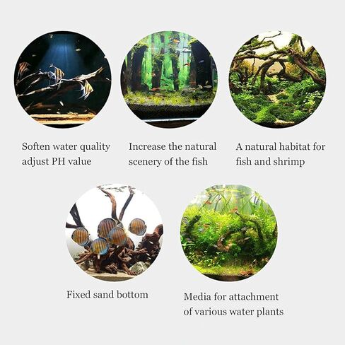 kathson Natural Aquarium Driftwood Decoration Branches Reptiles Terrarium Ornament Wood Fish Tank Habitat Decor Assorted Sizes Wood 2 PCS in Saudi Arabia