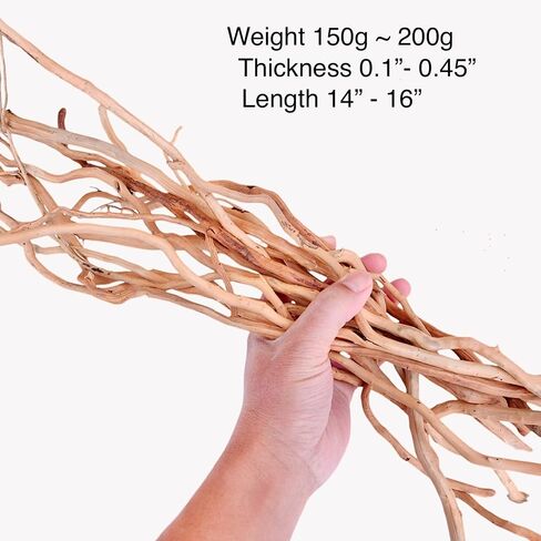 Natural Driftwood Root Mix - 150g (14''-16'') for Aquarium Decorations | Perfect for Fish Tanks, Freshwater Planted Tanks,Terrariums, Fairy Gardens, Aquascaping, Hardscaping, and Aquarium Plants in Kuwait