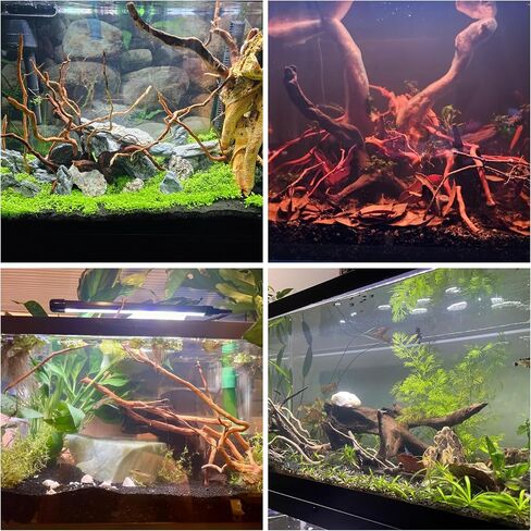 Natural Driftwood Root Mix - 150g (14''-16'') for Aquarium Decorations | Perfect for Fish Tanks, Freshwater Planted Tanks,Terrariums, Fairy Gardens, Aquascaping, Hardscaping, and Aquarium Plants in Kuwait