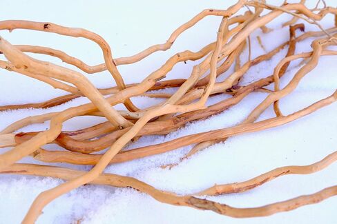 Natural Driftwood Root Mix - 150g (14''-16'') for Aquarium Decorations | Perfect for Fish Tanks, Freshwater Planted Tanks,Terrariums, Fairy Gardens, Aquascaping, Hardscaping, and Aquarium Plants in Kuwait