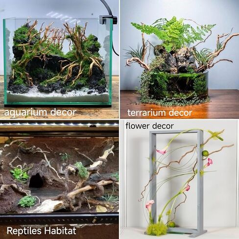 Natural Driftwood Root Mix - 150g (14''-16'') for Aquarium Decorations | Perfect for Fish Tanks, Freshwater Planted Tanks,Terrariums, Fairy Gardens, Aquascaping, Hardscaping, and Aquarium Plants in Kuwait