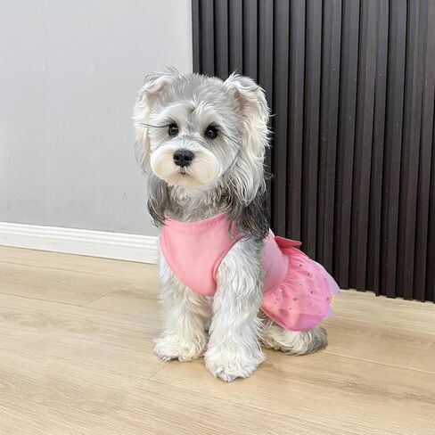 Idepet Princess Dog Dress Tulle Puppy Skirt Pet Apparel Dog Tutu with Bowknot,Birthday Dresses Daisy Sleeveless Holiday Clothes for Small Dogs Girls and Cats, Small in Saudi Arabia