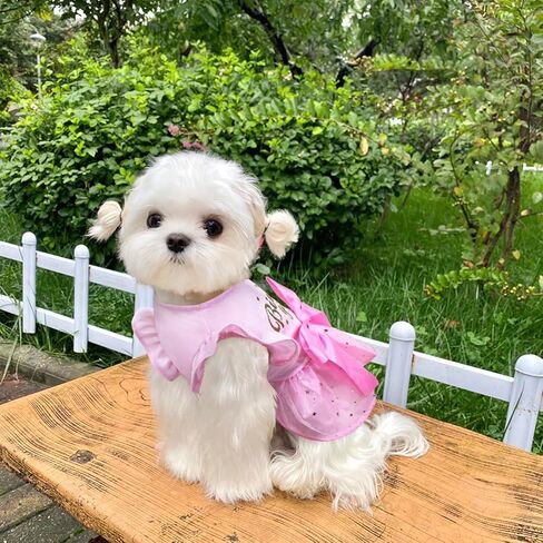 Dog Birthday Dress, Dog Tulle Dress with Big Bowknot Princess Dog Birthday Outfit Girls Doggie Dresses Clothes for Small Dog Cats Pink M in Kuwait