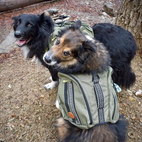 Wilderdog Dog Backpack with Built in Harness and Back-Mounted D-Ring Leash Attachment, Handle, Two Saddlebags with 4 Total Pockets, Built in Poop Bag Dispenser (Huckleberry, Large) in Saudi Arabia