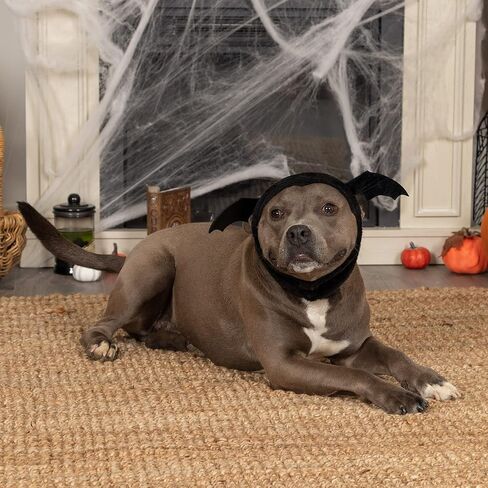 Furhaven XS to SM Dog Hat, Washable & Cozy - Sherpa Flex-Fit Polar Bear Dog Hat Costume - Cream, Extra Small to Small in Kuwait