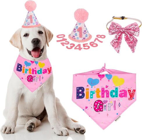 ADOGGYGO Dog Birthday Hat, Pink Birthday Girl Bandana Set, Small in Kuwait