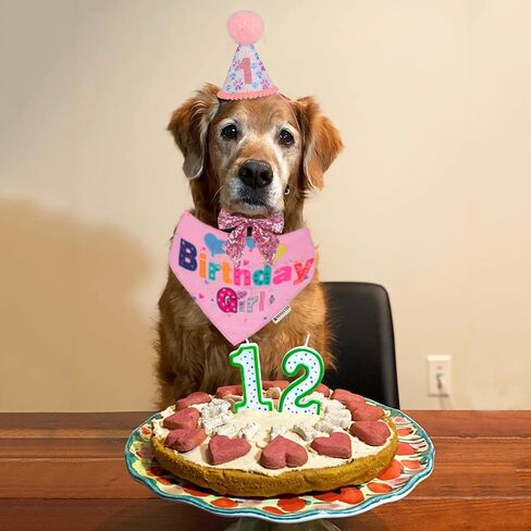 ADOGGYGO Dog Birthday Hat, Pink Birthday Girl Bandana Set, Small in Kuwait