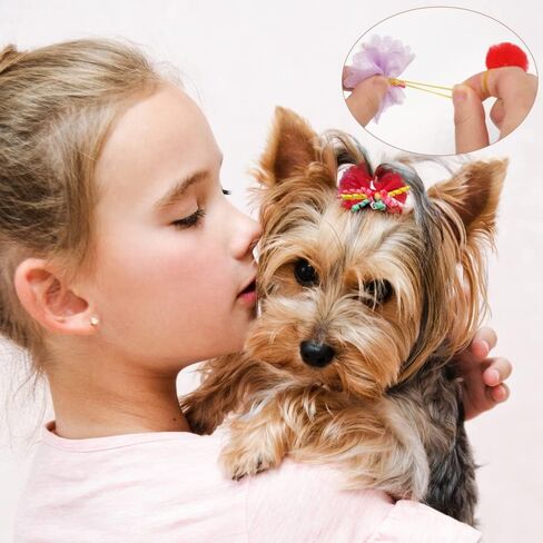 yxiang 100pcs إكسسوارات Pet Pet Pet - أقواس الشعر البولكا الأصلية مع أشرطة مطاطية للكلاب الصغيرة والجرو مثل يوركيس - 50 زوجًا in Kuwait