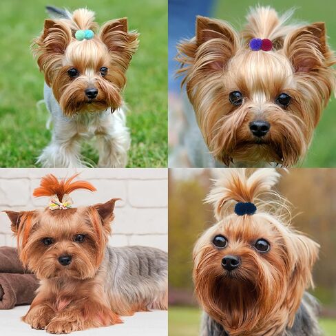 yxiang 100pcs إكسسوارات Pet Pet Pet - أقواس الشعر البولكا الأصلية مع أشرطة مطاطية للكلاب الصغيرة والجرو مثل يوركيس - 50 زوجًا in Kuwait