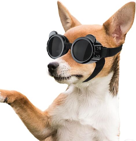 Enjoying Dog Goggles Small Breed, UV Protection Sunglasses for Dogs Small Breed, Windproof Driving Doggy Goggles, Snow Day Dog Eye Protection, Anti-Fog Dustproof, Adjustable Straps, Black in Kuwait