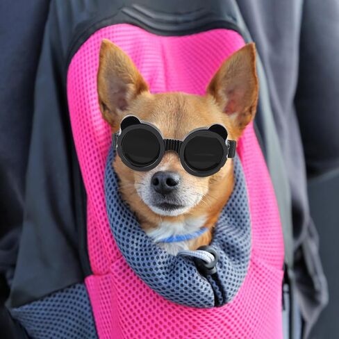 Enjoying Dog Goggles Small Breed, UV Protection Sunglasses for Dogs Small Breed, Windproof Driving Doggy Goggles, Snow Day Dog Eye Protection, Anti-Fog Dustproof, Adjustable Straps, Black in Kuwait