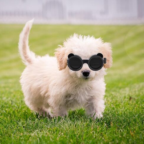 Enjoying Dog Goggles Small Breed, UV Protection Sunglasses for Dogs Small Breed, Windproof Driving Doggy Goggles, Snow Day Dog Eye Protection, Anti-Fog Dustproof, Adjustable Straps, Black in Kuwait