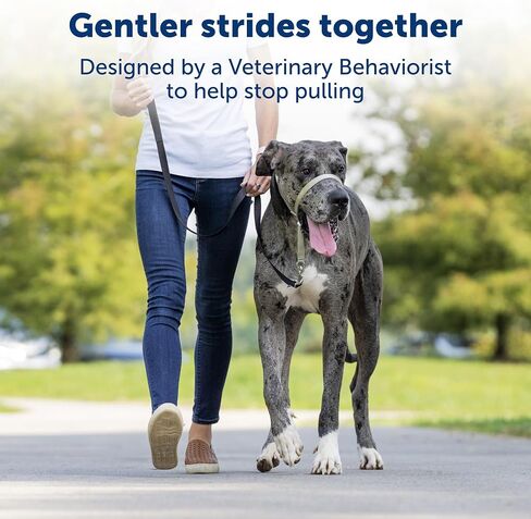PetSafe Gentle Leader No-Pull Head Collar for Dogs, Dog Head Collar - The Ultimate Solution to Pulling, Padded Nose Loop, Quick-Snap Neck Strap, Dog Halter, Large - Black in Saudi Arabia