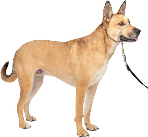 PetSafe Gentle Leader No-Pull Head Collar for Dogs, Dog Head Collar - The Ultimate Solution to Pulling, Padded Nose Loop, Quick-Snap Neck Strap, Dog Halter, Large - Black in Saudi Arabia