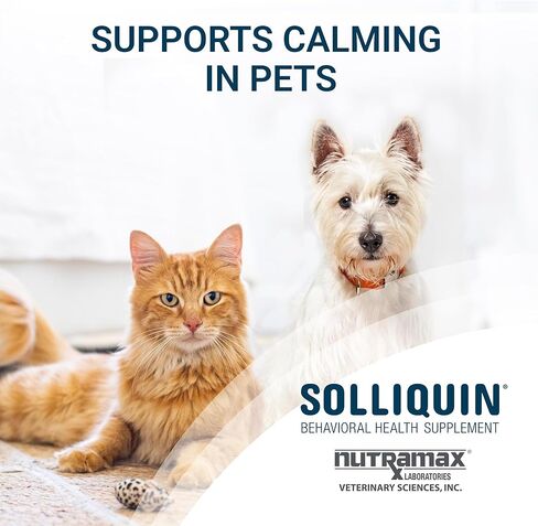 Nutramax Solliquin Calming Behavioral Health Supplement for Small to Medium Dogs and Cats - With L-Theanine, Magnolia / Phellodendron, and Whey Protein Concentrate, 75 Soft Chews in Saudi Arabia