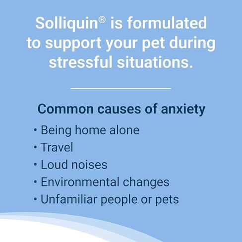 Nutramax Solliquin Calming Behavioral Health Supplement for Small to Medium Dogs and Cats - With L-Theanine, Magnolia / Phellodendron, and Whey Protein Concentrate, 75 Soft Chews in Saudi Arabia