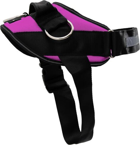 ShawnCo Essential Dog Harness, No-Pull Pet Vest with 3 Leash Clips, No Choke, Reflective, Adjustable and Padded, for Easy Walking and Training for Small, Medium and Large Dogs (Oceanic Blue, S) in Saudi Arabia