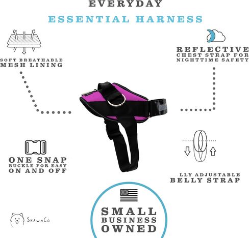 ShawnCo Essential Dog Harness, No-Pull Pet Vest with 3 Leash Clips, No Choke, Reflective, Adjustable and Padded, for Easy Walking and Training for Small, Medium and Large Dogs (Oceanic Blue, S) in Saudi Arabia