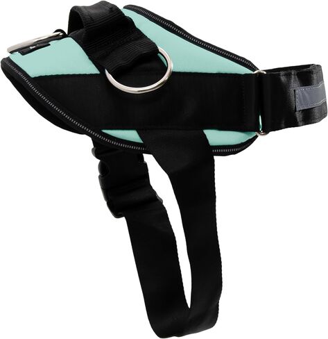 ShawnCo Essential Dog Harness, No-Pull Pet Vest with 3 Leash Clips, No Choke, Reflective, Adjustable and Padded, for Easy Walking and Training for Small, Medium and Large Dogs (Oceanic Blue, S) in Saudi Arabia