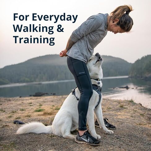 Ruffwear، حزام أمامي للكلاب، حزام عاكس ومبطن للتدريب والحياة اليومية، أرجواني، مقاس صغير in Kuwait