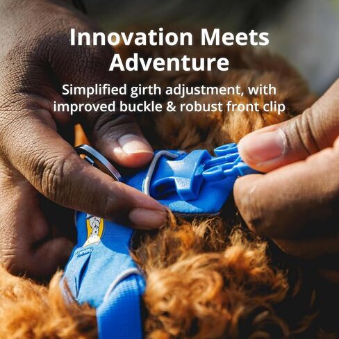 Ruffwear، حزام أمامي للكلاب، حزام عاكس ومبطن للتدريب والحياة اليومية، أرجواني، مقاس صغير in Kuwait