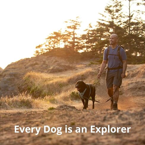 Ruffwear، حزام أمامي للكلاب، حزام عاكس ومبطن للتدريب والحياة اليومية، أرجواني، مقاس صغير in Kuwait