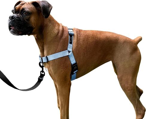 ShawnCo Dream Walk No-Pull Dog Harness- Adjustable, Comfortable, Easy to Use Pet Halter to Help Stop Pulling for Small, Medium and Large Dogs (ICY Lilac, M) in Kuwait