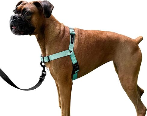 ShawnCo Dream Walk No-Pull Dog Harness- Adjustable, Comfortable, Easy to Use Pet Halter to Help Stop Pulling for Small, Medium and Large Dogs (ICY Lilac, M) in Kuwait