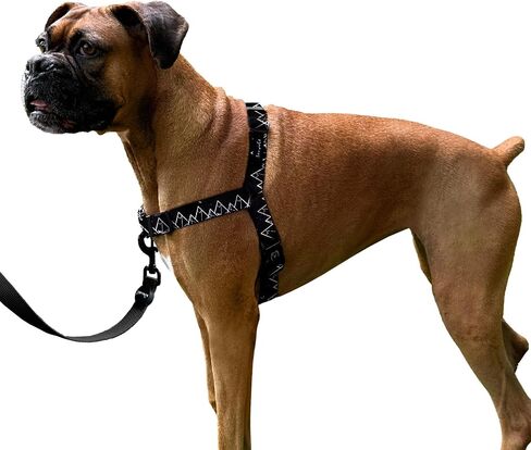 ShawnCo Dream Walk No-Pull Dog Harness- Adjustable, Comfortable, Easy to Use Pet Halter to Help Stop Pulling for Small, Medium and Large Dogs (ICY Lilac, M) in Kuwait