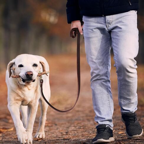 QUMY 6ft Leather Dog Leash for Large Medium Dogs Heavy Duty Training Leash in Saudi Arabia