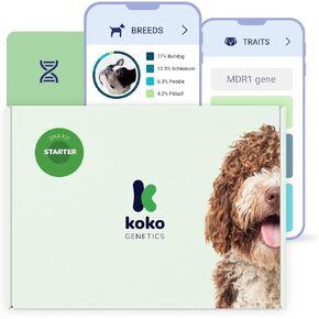 Starter DNA Test for Dogs, Analyzes & Identifies 400+ Breeds and Offers 25+ Genetic Traits and Ancestry Reports, Lifetime Updates Included