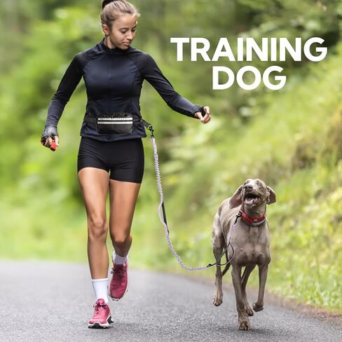 Hands Free Dog Leash with Pouch,Double Leash for Two Dogs in Saudi Arabia