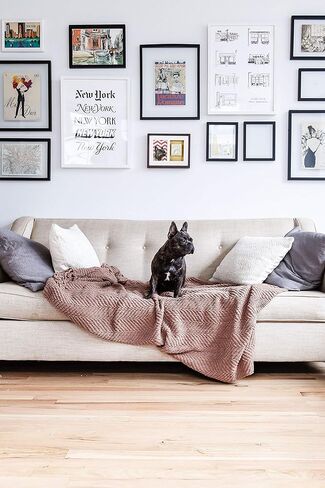 Pearhead Pet Paw Print Photo Frame with Clay Sundrint Kit - Pawprint Making Kit and Photo Display للقطط والكلاب ، No -Mess Pawprint Memorial ، هدية لمالك الحيوانات الأليفة ، إسبرسو in Kuwait