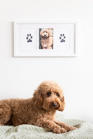 Pearhead Pet Paw Print Photo Frame With Clay Imprint Kit - Pawprint Making Kit and Photo Display for Cats and Dogs, No-Mess Pawprint Memorial, Gift For Pet Owner, Espresso in Kuwait