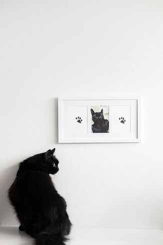 Pearhead Pet Paw Print Photo Frame With Clay Imprint Kit - Pawprint Making Kit and Photo Display for Cats and Dogs, No-Mess Pawprint Memorial, Gift For Pet Owner, Espresso in Kuwait