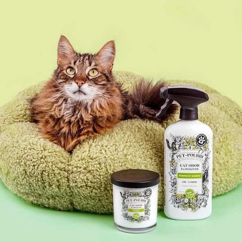 Pet-Pourri Pet Odor Air + Fabric Fabric Overor Rpray ، Fresh Fresh ، in Kuwait