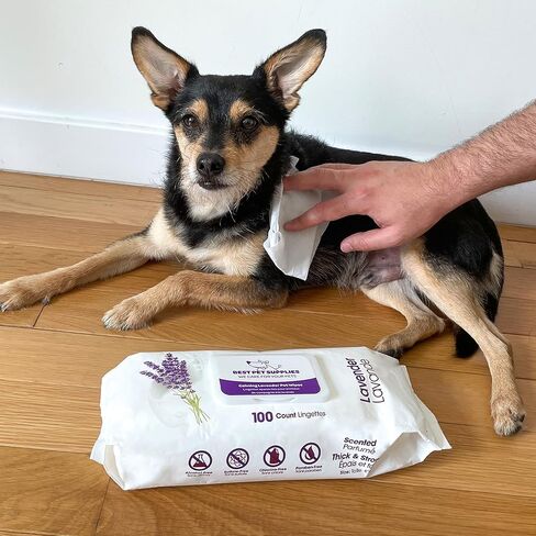 Best Pet Supplies 8" x 9" Pet Grooming Wipes for Dogs & Cats, 100 Pack, Plant-Based Deodorizer for Coats & Dry, Itchy, or Sensitive Skin, Clean Ears, Paws, & Butt - Calming Lavender in Saudi Arabia