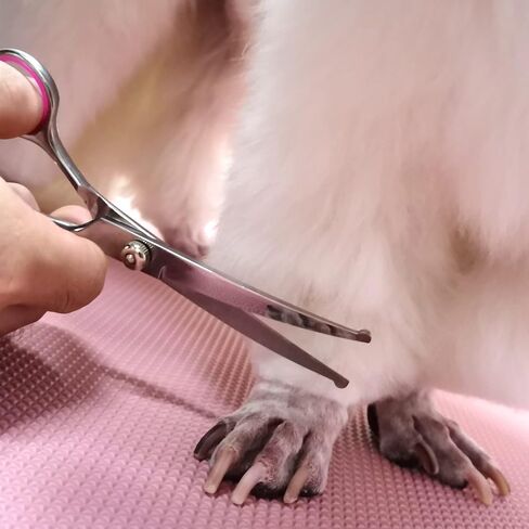 Dog Grooming Scissors with Safety Round Tips Stainless Steel Professional Dog Grooming Kit - Thinning, Curved Scissors and Comb for Dog Cat Pet (Pink 4 in 1) in Kuwait