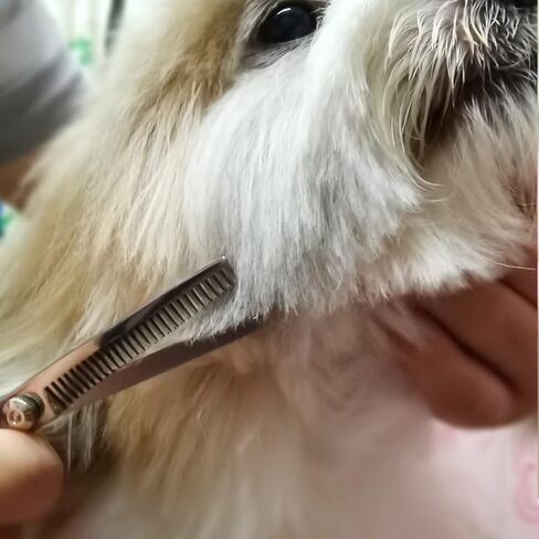 Dog Grooming Scissors with Safety Round Tips Stainless Steel Professional Dog Grooming Kit - Thinning, Curved Scissors and Comb for Dog Cat Pet (Pink 4 in 1) in Kuwait