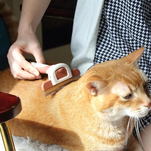 Mr. Pen- Pet Pressing ، فرشاة الكلاب للتسلق ، فرشاة سفك الكلاب ، فرشاة Deseshedding Dogshed ، أداة deseshedding ، أداة deseshedding الكلاب ، فرشاة الكلاب السفلية للكلاب ، فرشاة شعر الكلاب in Saudi Arabia