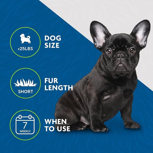 FURminator Small Dog Undercoat deShedding Tool, Short Hair, Reduces Loose Hair from Shedding in Kuwait